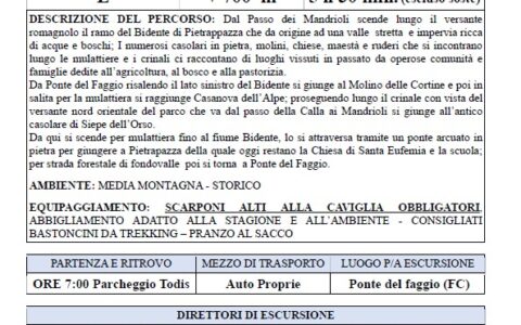 3 Aprile 2022 –  Parco Nazionale Foreste Casentinesi: “Valle del Bidente di Pietrapazza” (FC)