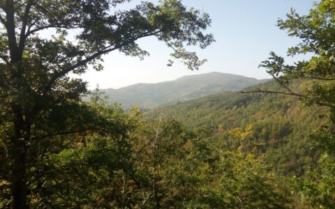 6 Novembre 2022   SULLE TRACCE DI ALFIO: ANELLO DI COREZZO ALPE DI SERRA (E)
