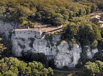 25/10/2026: Gli Alberi Storici della Foresta del La Verna
