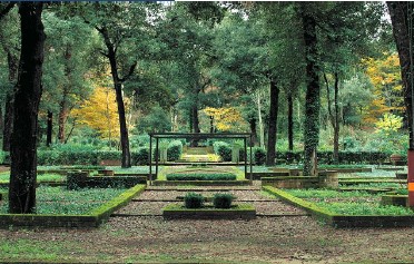 Domenica 11 Ottobre 2026: “Passi e parole tra San Giovanni d’Asso e il Bosco d’Arte della Ragnaia”